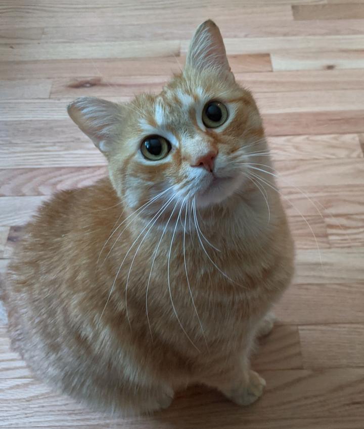 Andy
